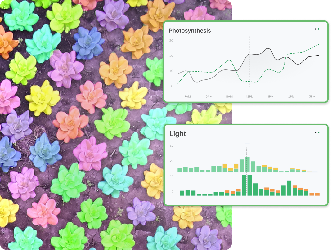 Greenhouse image with analytics